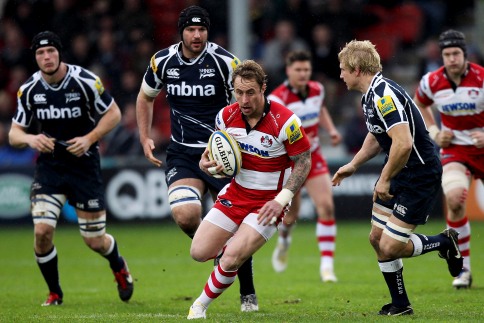 gloucester-sharks